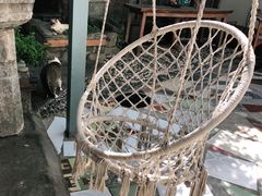 -喵屿·大理花园猫咖