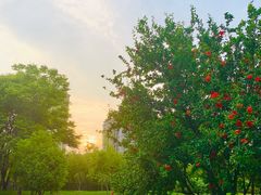 小区环境-经纬·泓汇地标家园