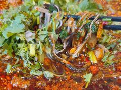 -乐山第一家临江鳝丝(茶坊路店)