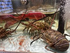 -万龙洲海鲜(大兴绿地缤纷城店)