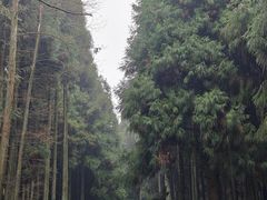 -山王坪喀斯特国家生态公园