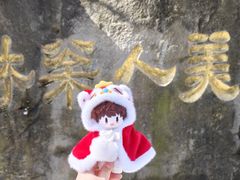 -美人松苑