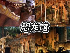 -中国西峡恐龙遗迹园