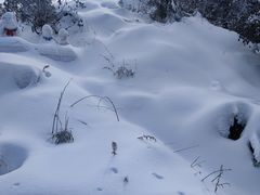 -瓦屋山景区