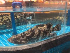 -百富源·海鲜辽菜(张士店)