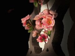 -红灯笼大酒楼(通湖路店)