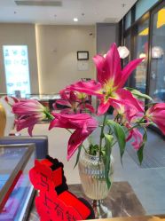 -Cindy Jewelry·钻戒·彩色宝石