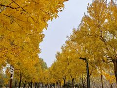 -东郊湿地公园
