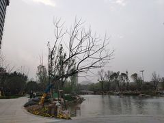 -北湖公园