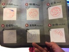 -萌宠奇缘