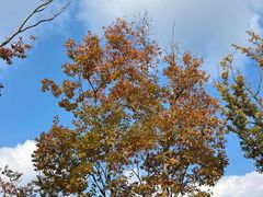 -白鹭湾湿地公园