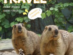 -泉州海丝野生动物世界