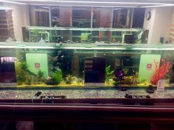 小左美发(南京东路店)-小左美发