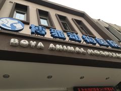 -纳吉亚猫专科动物医院博雅分院