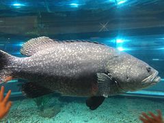 -绍兴梦享海洋公园