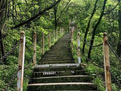 -陕西省红河谷森林公园