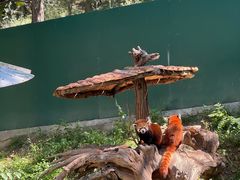 -大连森林动物园