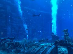 -亚特兰蒂斯•OSSIANO奥西亚诺海底餐厅