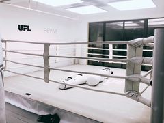 -EFL巴西柔术·综合格斗·泰拳·少儿体能训练(虹桥德必馆)