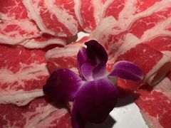 -渝味晓宇火锅(合川路店)