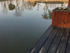 -田园东方蜜桃村的田野营地