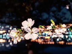 -闻泰花园酒店