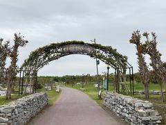 -江苏三台山国家森林公园
