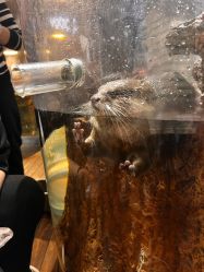 -Zoolung Zoolung动物主题公园(海信广场店)