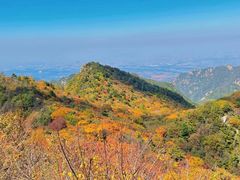 -秦岭风景区