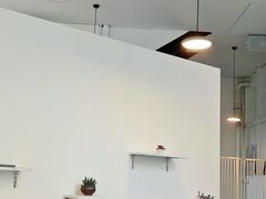 -有猫主题·治愈系猫咖(曾厝垵店)