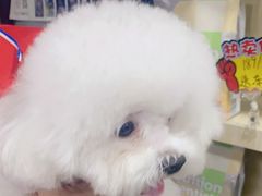 -久久宠物(河东万达店)