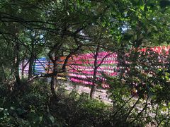 -宝岩生态观光园