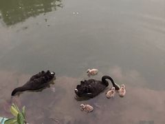 -南通濠河风景名胜区