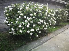 -四川大学(华西校区)