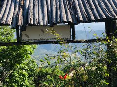 -白草畔自然风景区