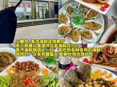 -日照海滨国家森林公园