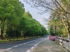 -西溪国家湿地公园