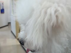 -艾贝尔宠物医院 ·中兽医·宠保定点(北门桥店)