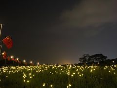 -深圳湾公园(南山区)