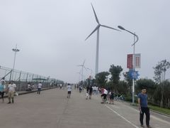 -碧海金沙