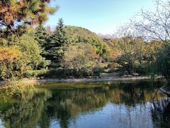 -汤山公园