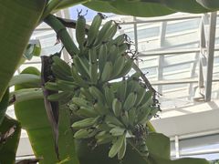-石家庄市植物园