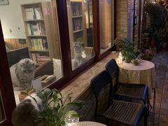 -隅cafe(傅厚岗店)