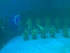 -太奥幻太奇海洋馆