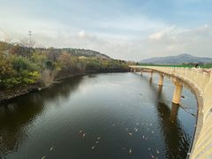 -青岛森林野生动物世界