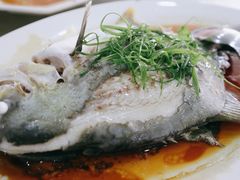 清蒸海鱼-双月饭店·20年老字号(新村店)