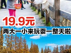 -前小桔亲子创意农场·草莓采摘·露营烧烤