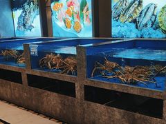 -帝皇海海鲜豆捞(桐泾商务广场店)