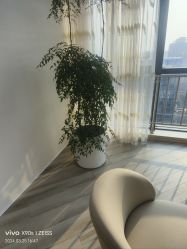 -HEYAN荷妍专业脱毛连锁机构