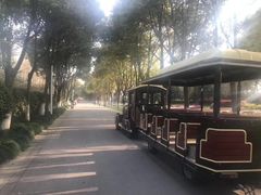 -上海鲜花港